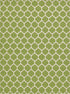 Lattice Gardens Collection Area Rug -  Bloomfield (Light Green)