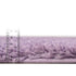 Plush Oasis Collection Area Rug - Serenity (Lilac)