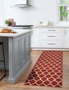 Lattice Gardens Collection Area Rug -  Bloomfield (Dark Terracotta) Runner Dark Terracotta  lifestyle 40