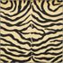 Savannah Sojourn Collection Area Rug -  Kilimanjaro