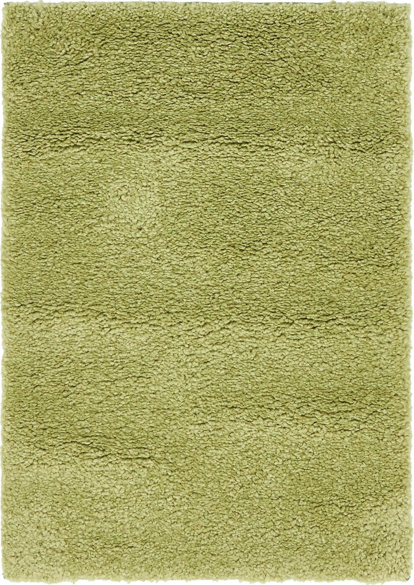 Solid Shag Seaside Collection Area Rug - Azure Cove (Light Green)