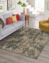 Gobi Sands Collection Area Rug - Dunhuang Rectangle Gray  lifestyle 2