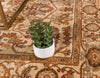 Coastal Haven Collection Area Rug - Seabreeze Runner Cream  lifestyle 58