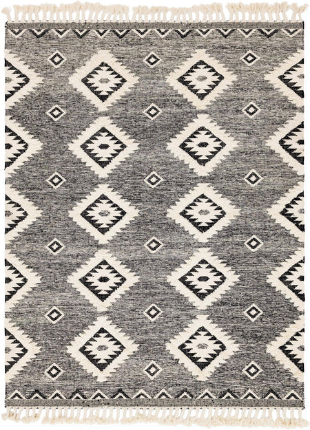 Sonoran Collection Area Rug - Canyon