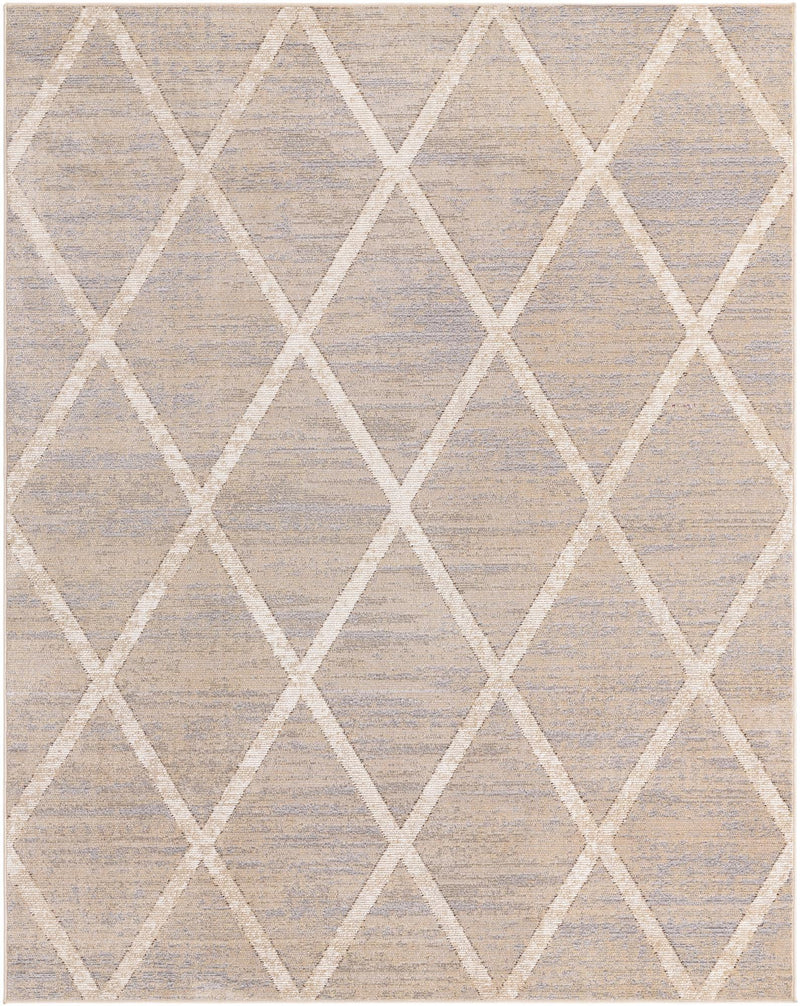 Celestial Luminescence Collection Area Rug - Aurora Rectangle Beige  lifestyle 2