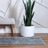 Cozy Comfort Shag Collection Area Rug - Haven (Cloud Gray) Runner Cloud Gray  lifestyle 18