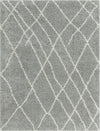 Cozy Haven Shag Collection Area Rug - Serenity (Cloud Gray) Rectangle Cloud Gray  lifestyle 2