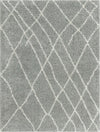 Cozy Haven Shag Collection Area Rug - Serenity (Cloud Gray) Rectangle Cloud Gray Main