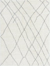 Cozy Haven Shag Collection Area Rug - Serenity (Ivory) Rectangle Ivory Main