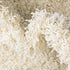 Plush Oasis Collection Area Rug - Serenity (Pure Ivory)