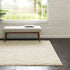 Cozy Comfort Shag Collection Area Rug - Hearthside (Ivory)