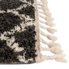 Cozy Cove Shag Collection Area Rug - Marina Rectangle Black and White  lifestyle 20