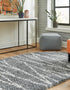 Tranquil Tides Shag Collection Area Rug -  Frost