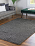 Cozy Haven Shag Collection Area Rug - Sanctuary (Graphite Gray)