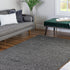 Cozy Haven Shag Collection Area Rug - Sanctuary (Graphite Gray)