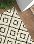 Trellis Haven Collection Area Rug - Soho (White and Black)