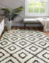 Trellis Haven Collection Area Rug - Soho (White and Black)