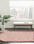 Trellis Haven Collection Area Rug - Soho (Light Pink)