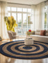 Woven Seaside Jute Collection Area Rug - Nautilus