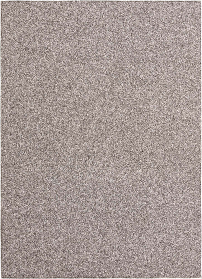 Everyday Elegance Collection Area Rug - Serenity (Ash Gray) Rectangle Ash Gray Main