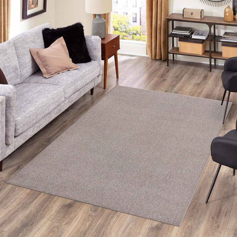 Everyday Elegance Collection Area Rug - Serenity (Ash Gray) Rectangle Ash Gray  lifestyle 13