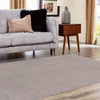 Everyday Elegance Collection Area Rug - Serenity (Ash Gray) Rectangle Ash Gray  lifestyle 14