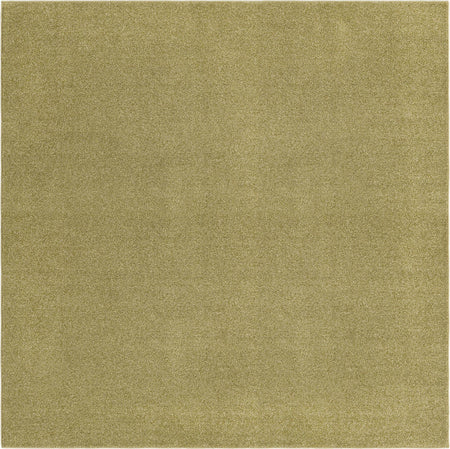 Everyday Elegance Collection Area Rug - Serenity (Fem Green)