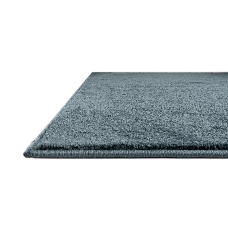 Everyday Elegance Collection Area Rug - Serenity (Steel blue) Rectangle Steel blue  lifestyle 5