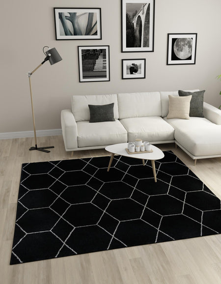 Trellis Mosaic Collection Area Rug - Arborville (Black)