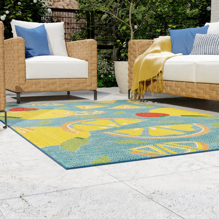 Coastal Terrace Collection Area Rug -  Cove