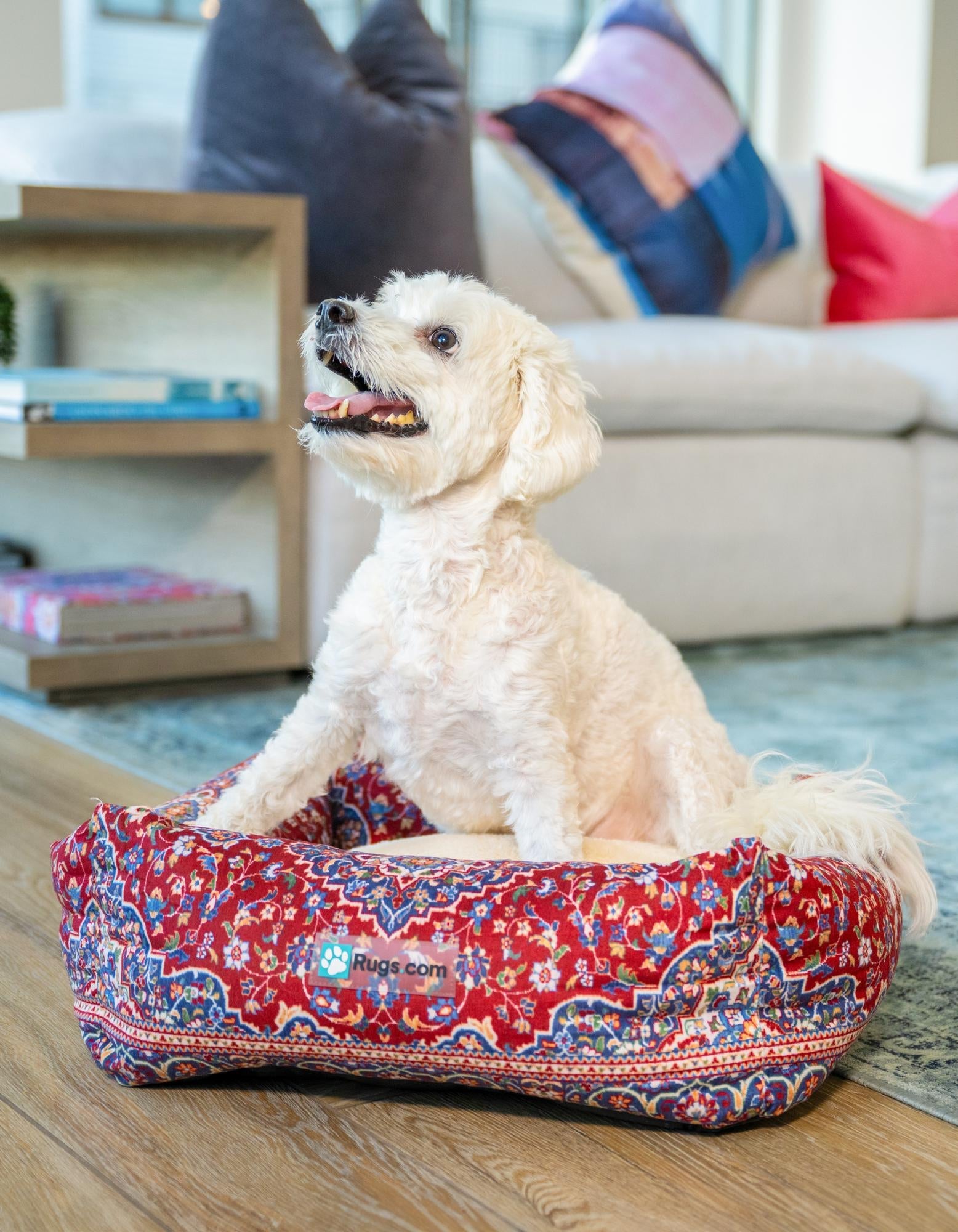 Luxury Pet Lounge Collection Pet Bed Sanctuary