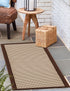 Terrace Fringe Collection Area Rug - Oceanside